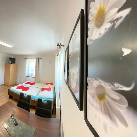 Apartment Nedrik Rokytnice nad Jizerou Exteriör bild